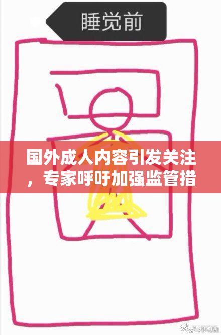 国外成人内容引发关注，专家呼吁加强监管措施