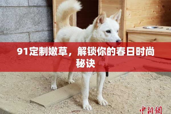 91定制嫩草，解锁你的春日时尚秘诀