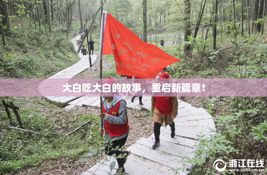 大白吃大白的故事，重启新篇章！
