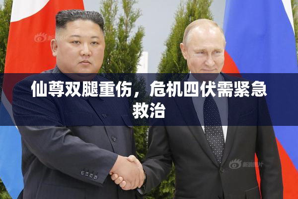 仙尊双腿重伤，危机四伏需紧急救治