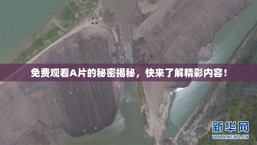免费观看A片的秘密揭秘，快来了解精彩内容！