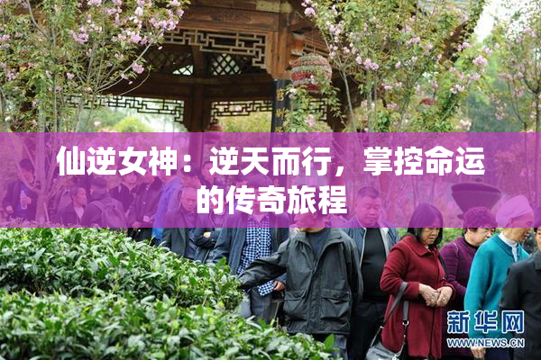 仙逆女神：逆天而行，掌控命运的传奇旅程