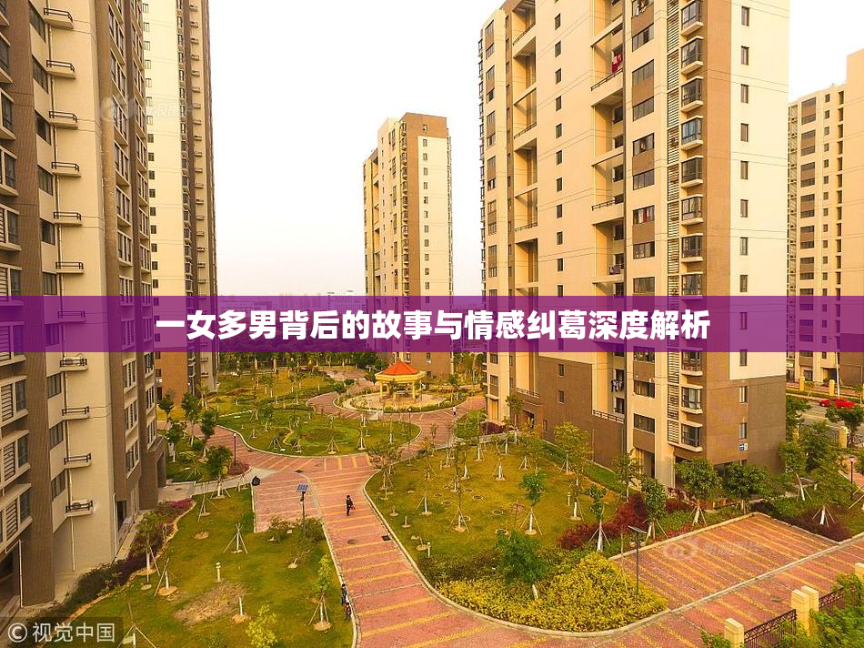 一女多男背后的故事与情感纠葛深度解析
