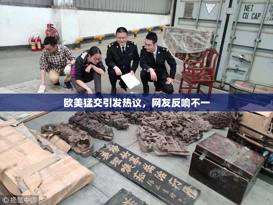 欧美猛交引发热议，网友反响不一