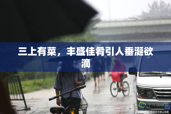 三上有菜，丰盛佳肴引人垂涎欲滴