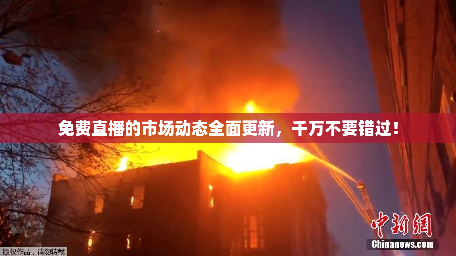 免费直播的市场动态全面更新，千万不要错过！