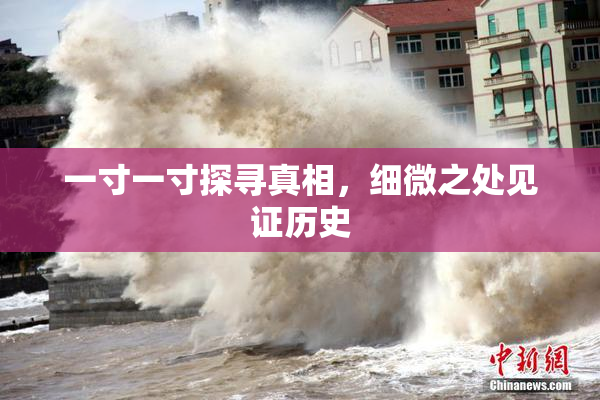 一寸一寸探寻真相，细微之处见证历史