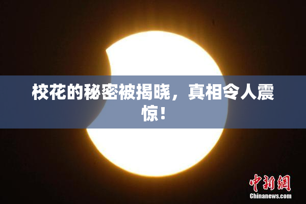 校花的秘密被揭晓，真相令人震惊！