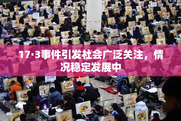 17·3事件引发社会广泛关注，情况稳定发展中