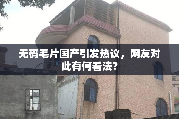 无码毛片国产引发热议，网友对此有何看法？