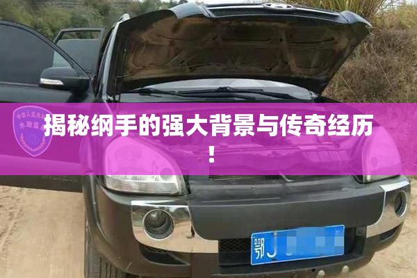 揭秘纲手的强大背景与传奇经历！