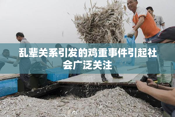 乱辈关系引发的鸡重事件引起社会广泛关注