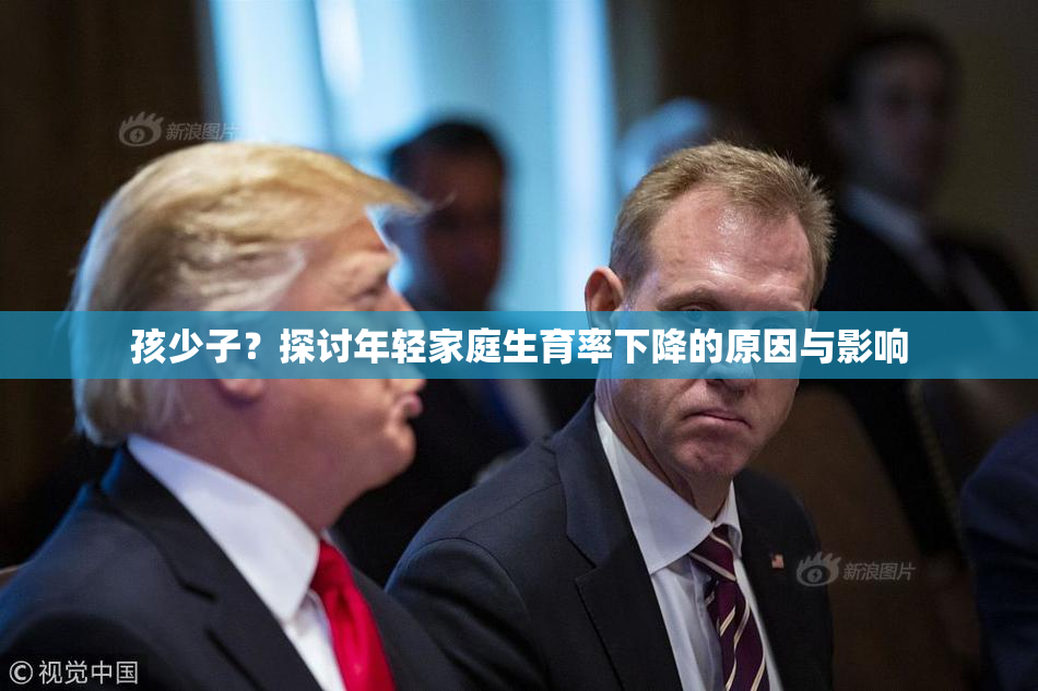 孩少子？探讨年轻家庭生育率下降的原因与影响