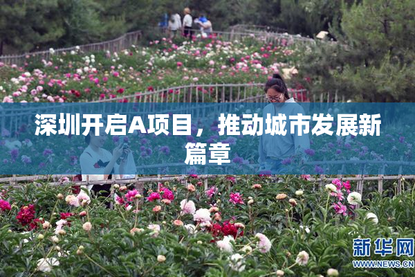 深圳开启A项目，推动城市发展新篇章