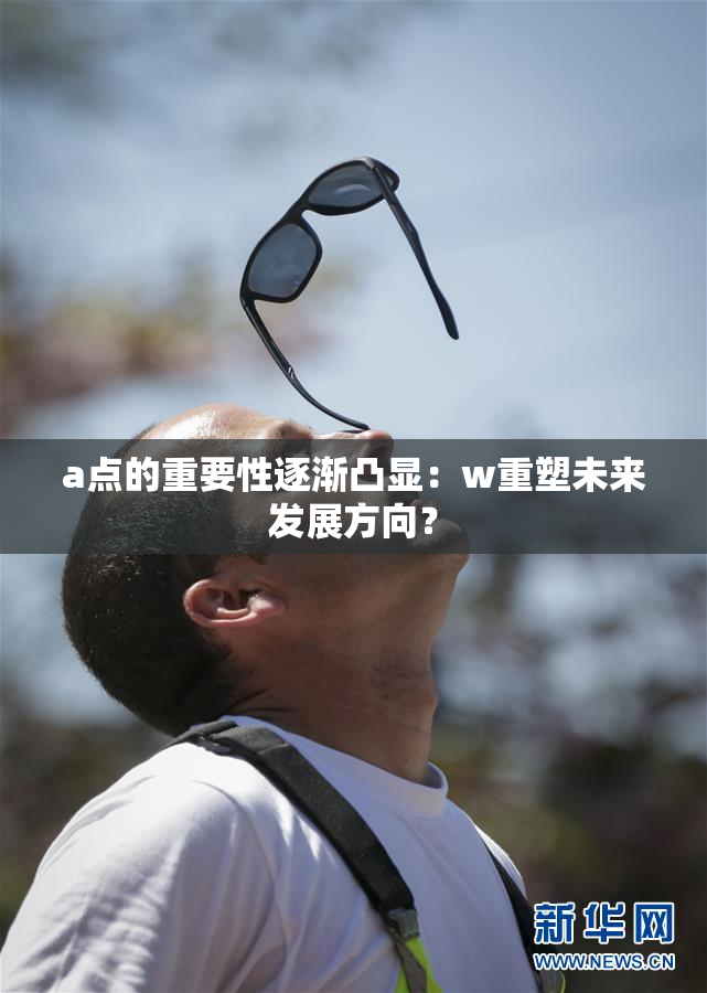 a点的重要性逐渐凸显：w重塑未来发展方向？