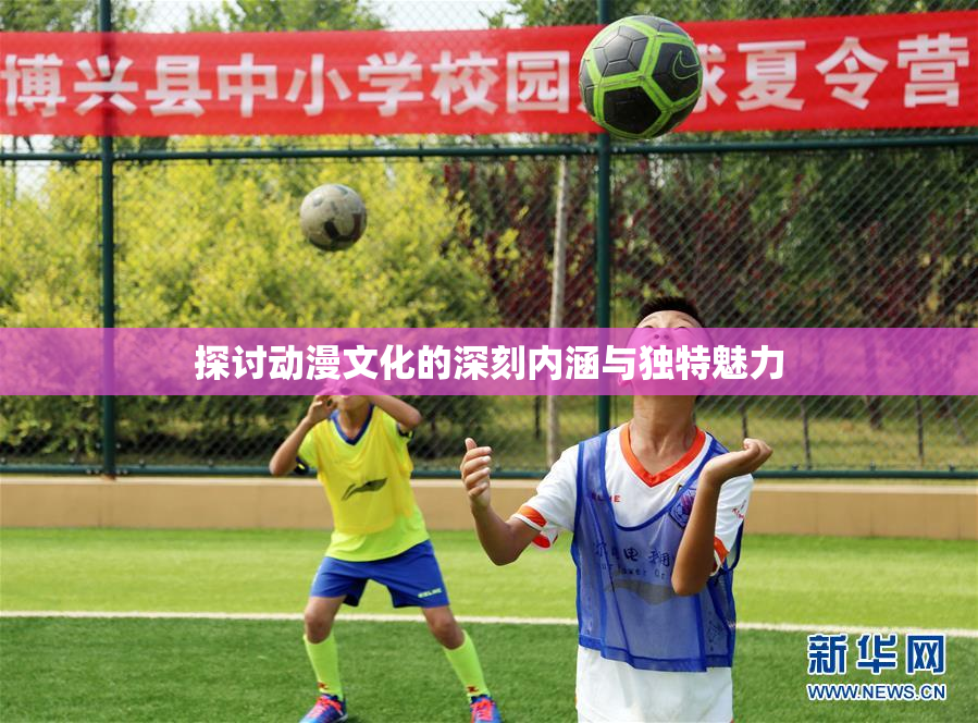 探讨动漫文化的深刻内涵与独特魅力