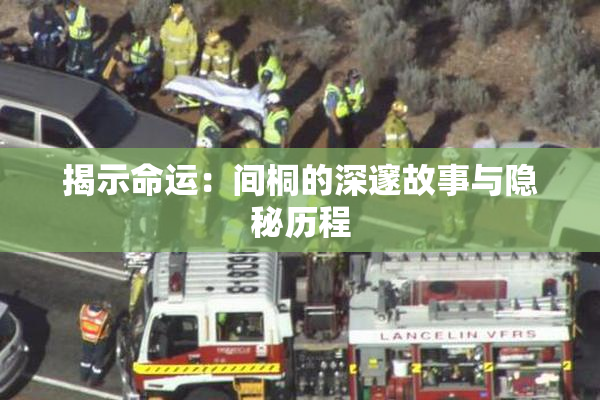 揭示命运：间桐的深邃故事与隐秘历程