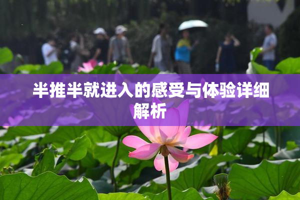 半推半就进入的感受与体验详细解析