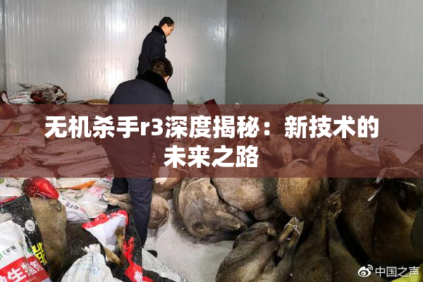 无机杀手r3深度揭秘：新技术的未来之路