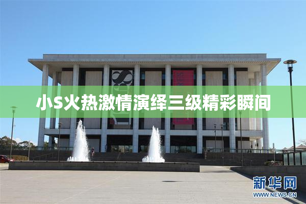 小S火热激情演绎三级精彩瞬间