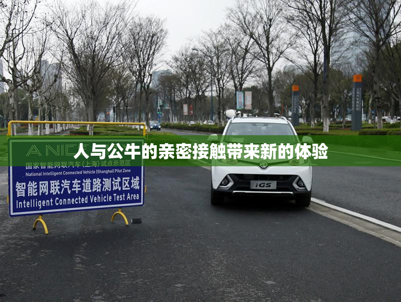 人与公牛的亲密接触带来新的体验