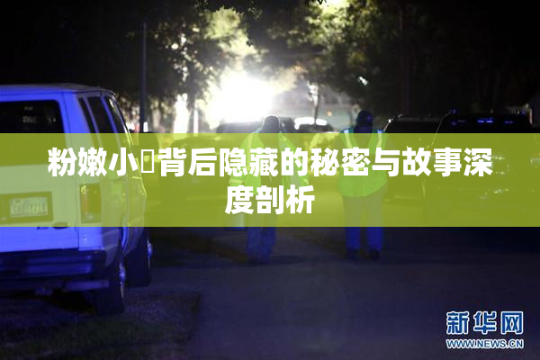 粉嫩小泬背后隐藏的秘密与故事深度剖析