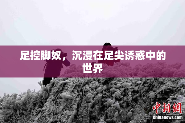 足控脚奴，沉浸在足尖诱惑中的世界
