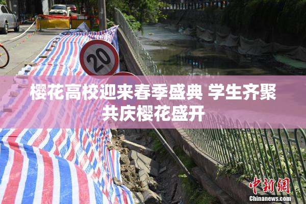 樱花高校迎来春季盛典 学生齐聚共庆樱花盛开