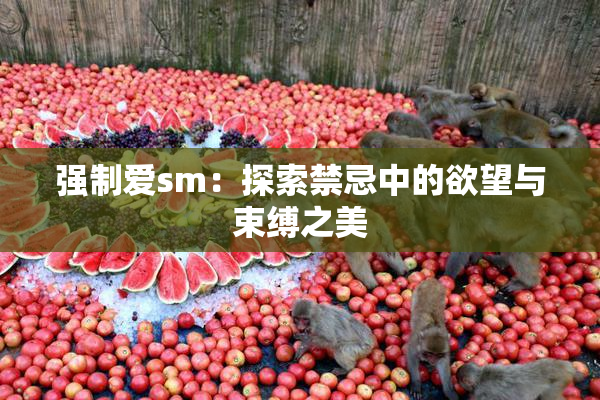强制爱sm：探索禁忌中的欲望与束缚之美