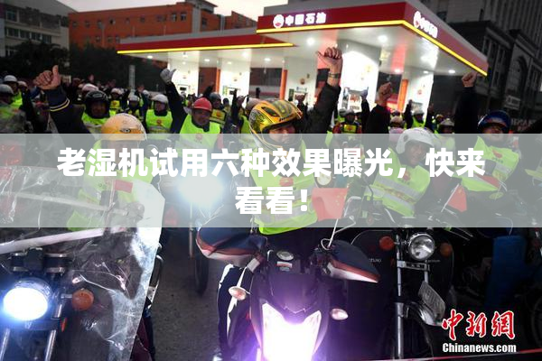 老湿机试用六种效果曝光，快来看看！