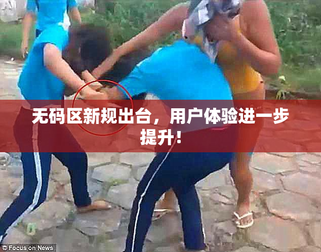 无码区新规出台，用户体验进一步提升！