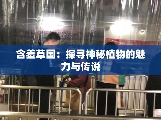 含羞草国：探寻神秘植物的魅力与传说