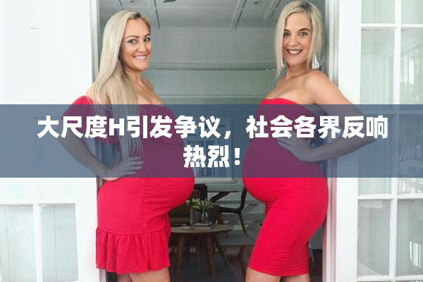 大尺度H引发争议，社会各界反响热烈！