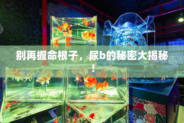 别再握命根子，尿b的秘密大揭秘！