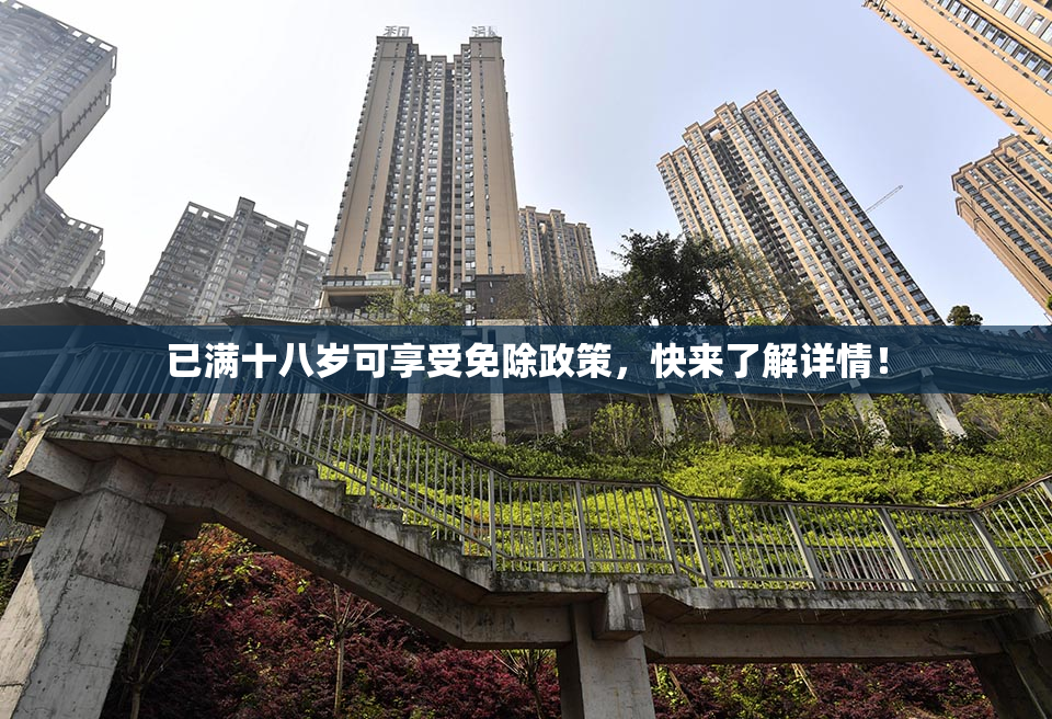 已满十八岁可享受免除政策，快来了解详情！