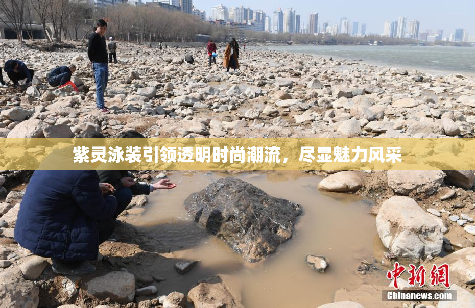 紫灵泳装引领透明时尚潮流，尽显魅力风采