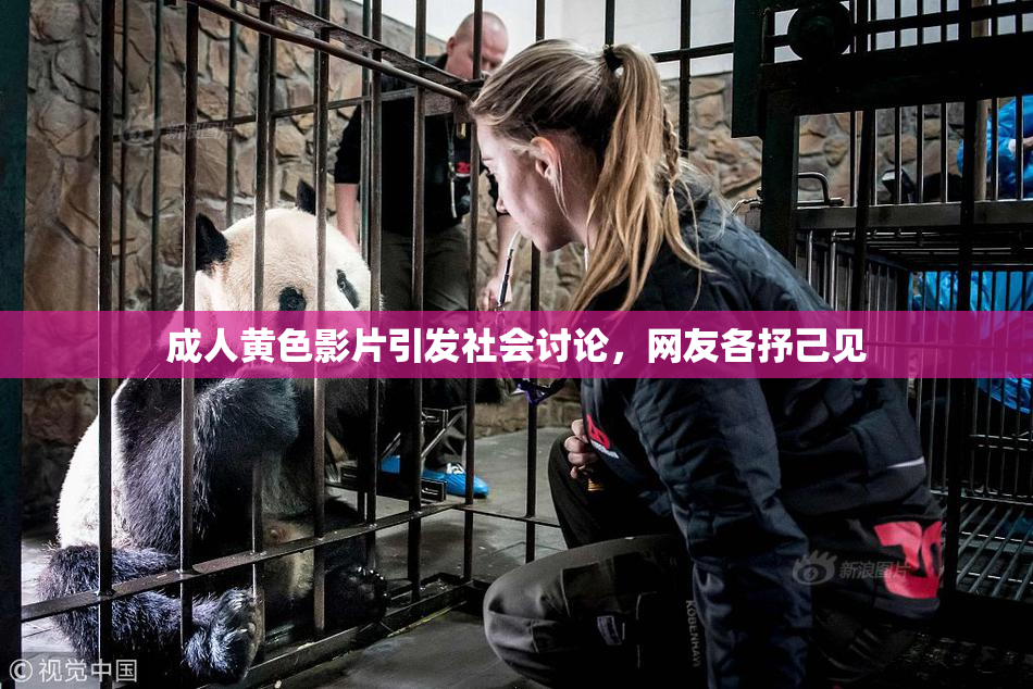 成人黄色影片引发社会讨论，网友各抒己见