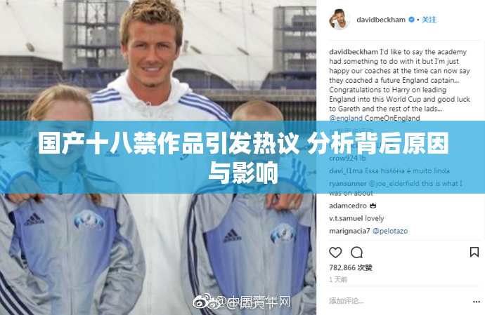 国产十八禁作品引发热议 分析背后原因与影响