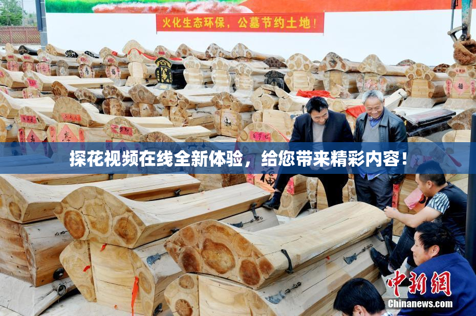 探花视频在线全新体验，给您带来精彩内容！