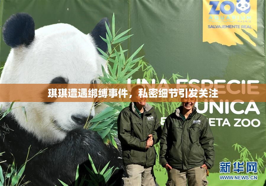 琪琪遭遇绑缚事件，私密细节引发关注