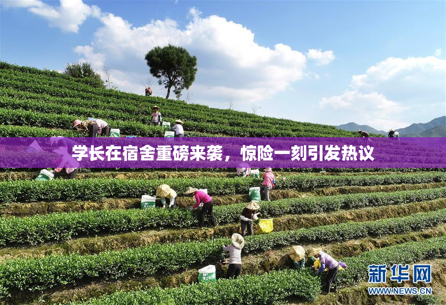学长在宿舍重磅来袭，惊险一刻引发热议