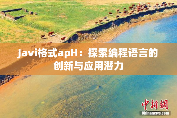 Javi格式apH：探索编程语言的创新与应用潜力