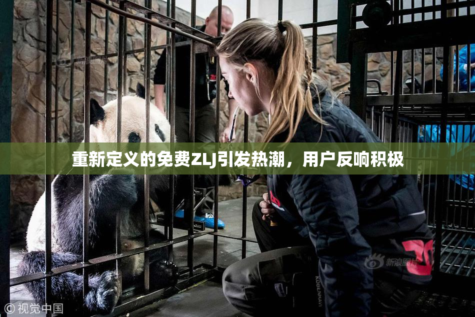 重新定义的免费ZLJ引发热潮，用户反响积极
