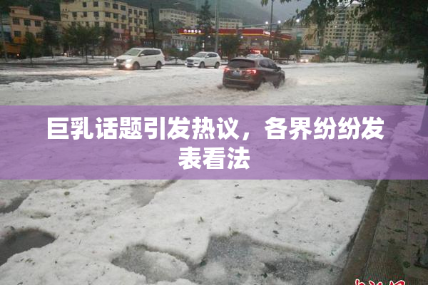 巨乳话题引发热议，各界纷纷发表看法