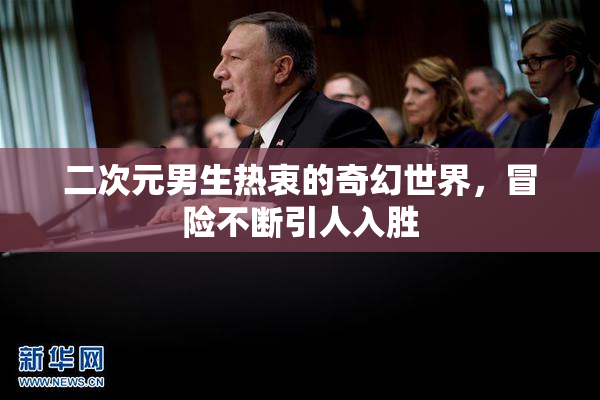 二次元男生热衷的奇幻世界，冒险不断引人入胜
