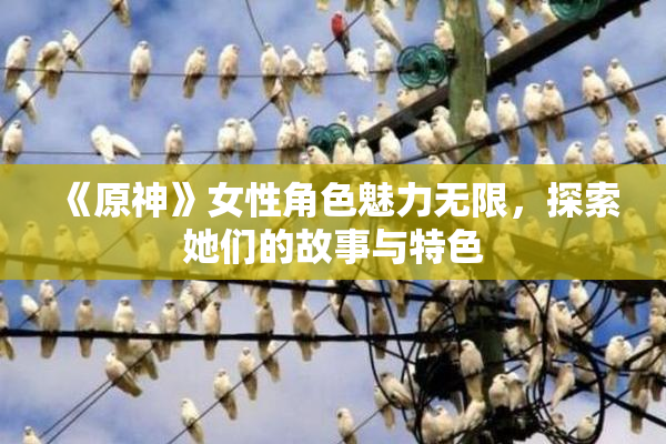 《原神》女性角色魅力无限，探索她们的故事与特色