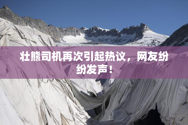 壮熊司机再次引起热议，网友纷纷发声！