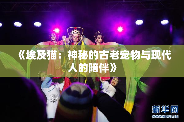 《埃及猫：神秘的古老宠物与现代人的陪伴》