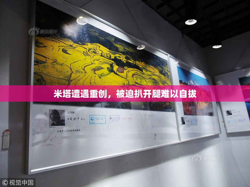 米塔遭遇重创，被迫扒开腿难以自拔