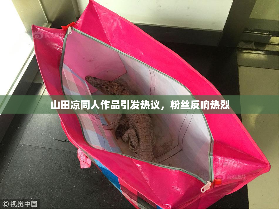 山田凉同人作品引发热议，粉丝反响热烈